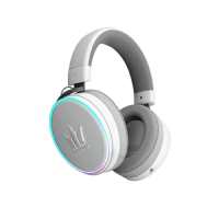 maestro_wht-matte-04-600_1 (1)