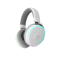 maestro_wht-matte-05-600_1 (1)